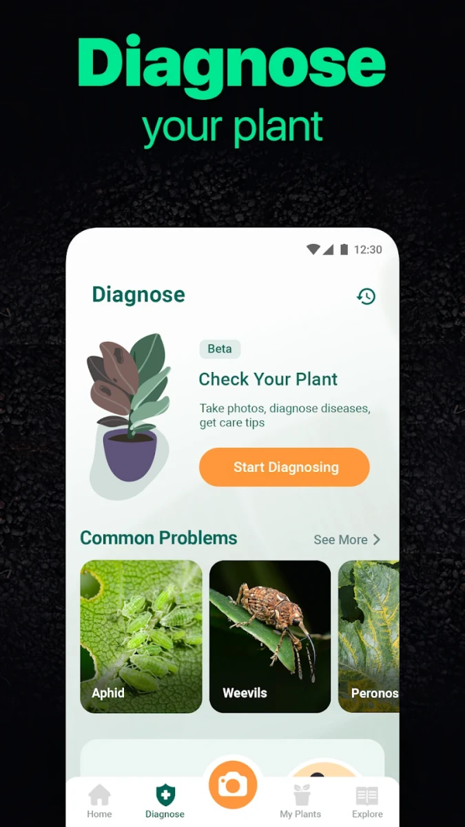 NatureID - Plant Identifier screenshot image 7