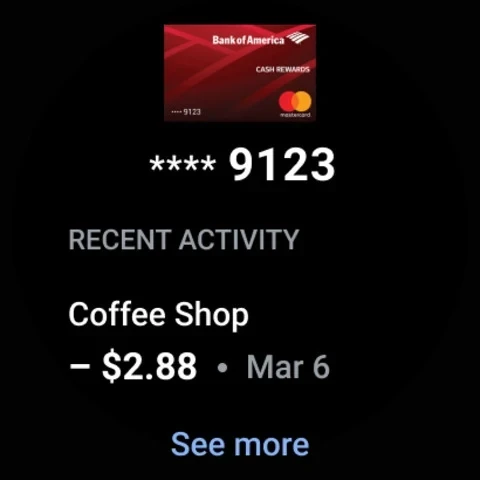 Google Wallet screenshot image 12